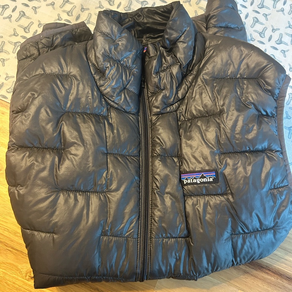 Patagonia Micro Puff Vest